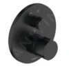 Duravit C.1 - Grifo Termostático Empotrado Para Bañera, Para 2 Dispositivos, Negro Mate C15200014046 -Baño Suministros Tienda 240714093ebba90881ecd91a