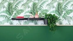 Hansgrohe WallStoris - Recipiente Multiuso, Negro Matee 27921670 10 Hansgrohe WallStoris - Recipiente Multiuso, Negro Matee 27921670 -Baño Suministros Tienda 2474423e8f0eb9da5040c9a0