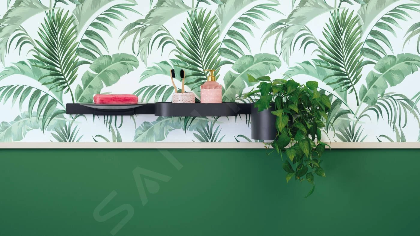 Hansgrohe WallStoris - Recipiente Multiuso, Negro Matee 27921670 6 Hansgrohe WallStoris - Recipiente Multiuso, Negro Matee 27921670 - Imagen 4