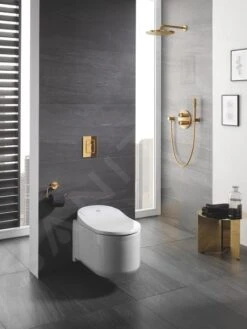 Grohe Sensia Arena - Inodoro Suspendido Con Ducha, Blanco Alpino 39354SH1 -Baño Suministros Tienda 80422218cca5578c8d2f3de8