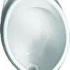 Ideal Standard Urinarios - Urinario, Entrada Superior, Blanco V510501 -Baño Suministros Tienda 82d11590877d1cf0f4d799f1
