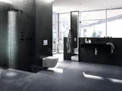 Geberit CleanLine - Canaleta De Ducha De Acero Inoxidable, 300-900 Mm, Metal Oscuro 154.456.00.1 -Baño Suministros Tienda 878eb6837b0d5cf23b3ec2d8