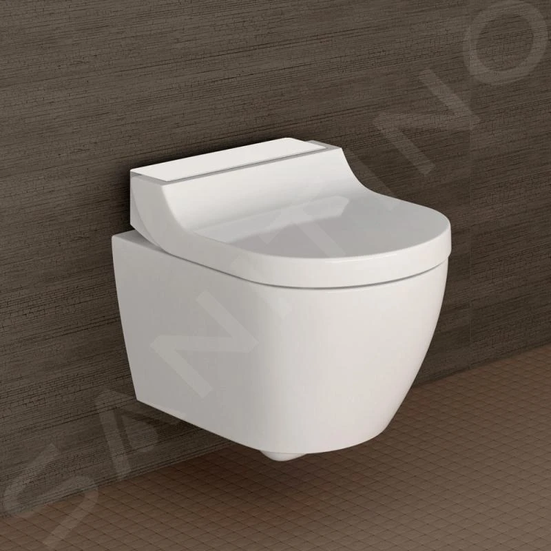 Geberit AquaClean - Bidé Electrónico Tuma Comfort Con Cerámica, Rimfree, SoftClosing, Vidrio Negro 146.292.SJ.1 10 Geberit AquaClean - Bidé Electrónico Tuma Comfort Con Cerámica, Rimfree, SoftClosing, Vidrio Negro 146.292.SJ.1 - Imagen 8